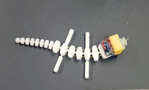 Lizard_Skeleton_VSoRos   