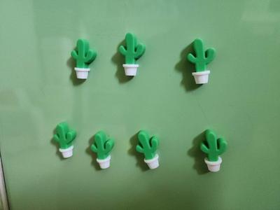 Cactus 6x3 magnet