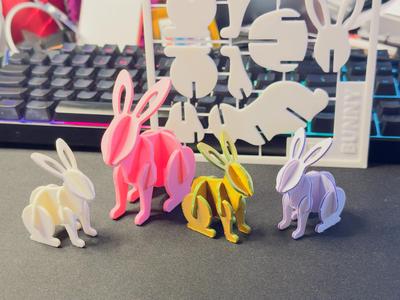 Easter Bunny Card Kit