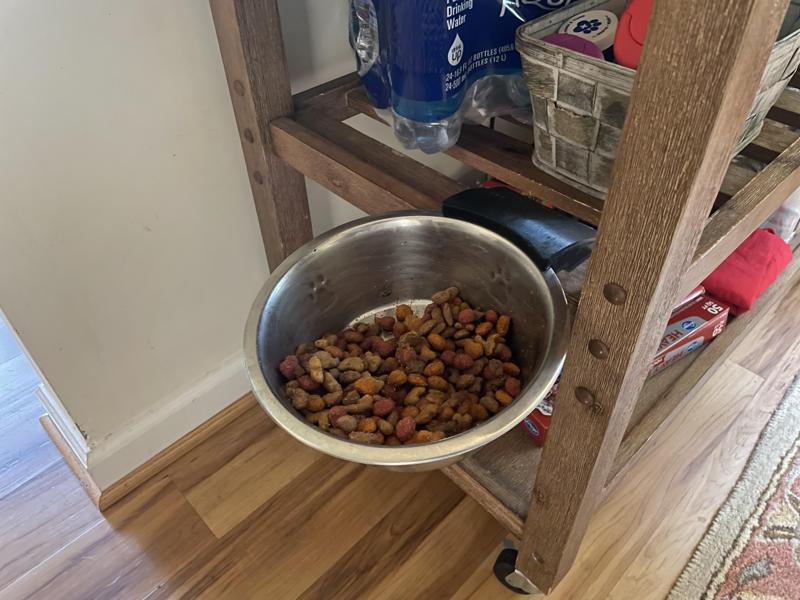 Elevated Dog Bowl Clamp