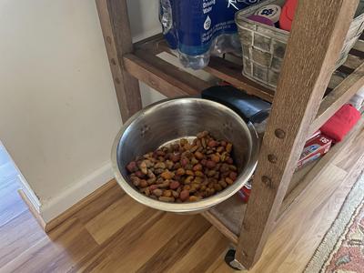 Elevated Dog Bowl Clamp