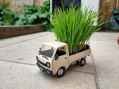 D12 and D12mini bed liner for miniture garden.