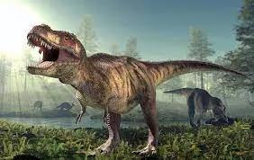 tyrannosaurus rex