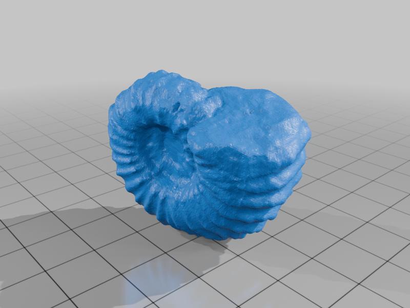 Scan of Douvilleiceras gr. mammillatum (Cretaceous ammonite)