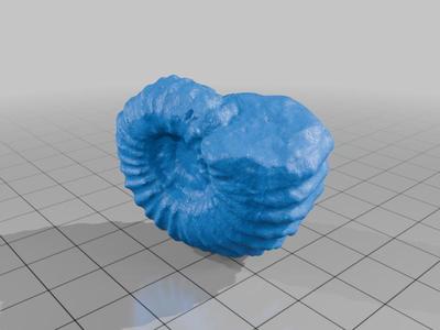 Scan of Douvilleiceras gr. mammillatum (Cretaceous ammonite)