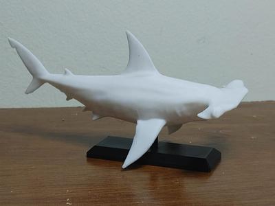 Hammerhead Shark Mount 