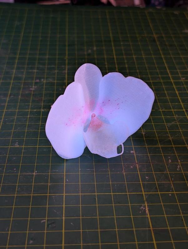 Orchid Flower - Easy Print