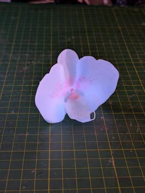  Orchid Flower - Easy Print