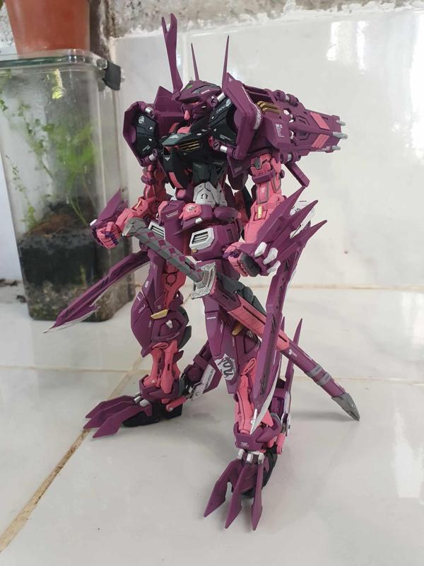 MG Gundam Astray Mirage Frame 3rd issue Conversion