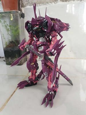 MG Gundam Astray Mirage Frame 3rd issue Conversion
