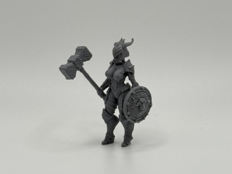 DnD Miniature Female Warrior 