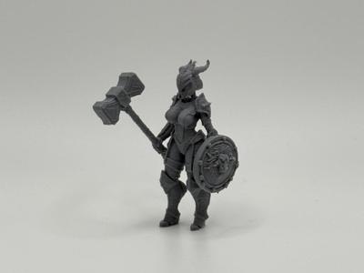 DnD Miniature Female Warrior 
