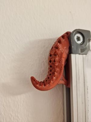 Whiteboard Tentacle Hook