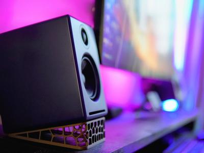 Voronoi Desktop Speaker Stand