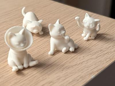 Various cats