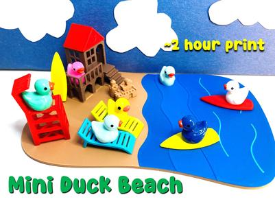 Mini Duck Beach Vacation an Accessories 