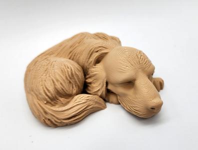 Sleeping Dog