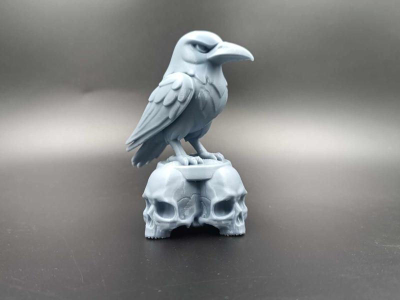Raven on Skull