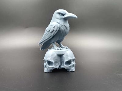 Raven on Skull