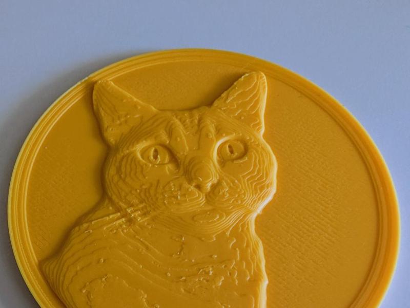 Cat blep relief coin