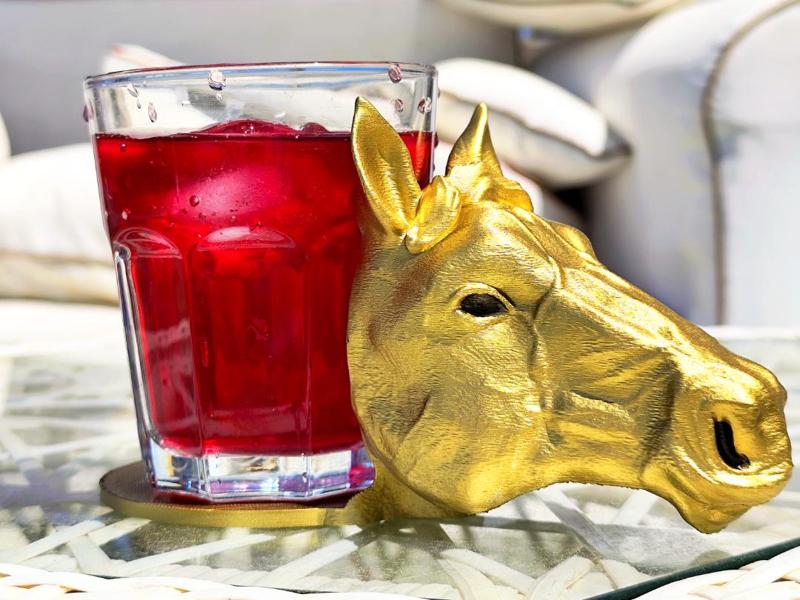 Horse Head Drink Coaster