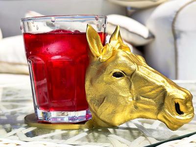 Horse Head Drink Coaster