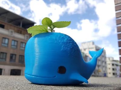 Whale pot