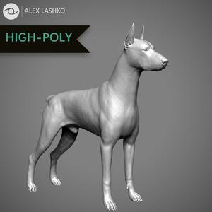 Doberman High-Poly dachshund