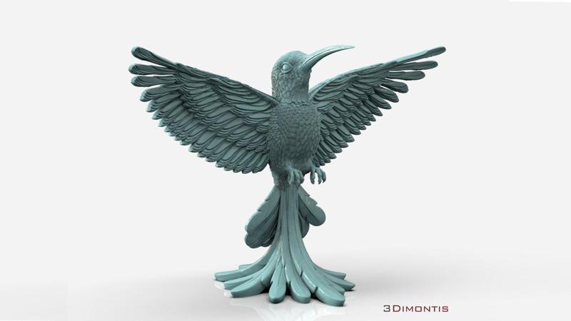 colibri humming bird