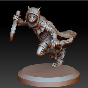 Kobold dragonborn rogue