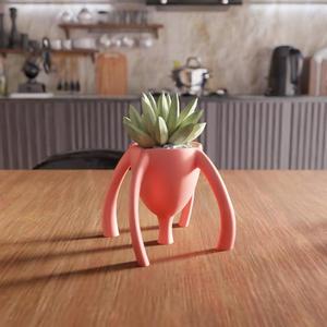3D Small Desk Planter STL File – Cute Planter, Gifts for Her, 3D Printed, Digital File, Desk Planter, Indoor Decor