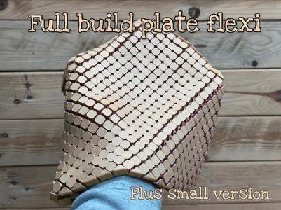 Full Build Plate Flexi (plus bonus pocket size)