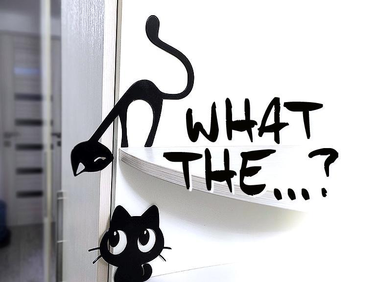 Cats