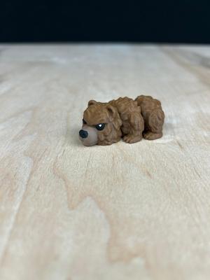 Grizzly Bear