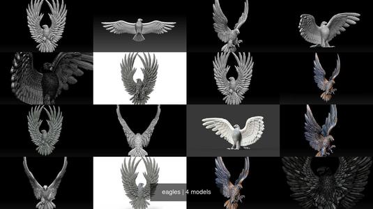 eagles 3D Model Collection