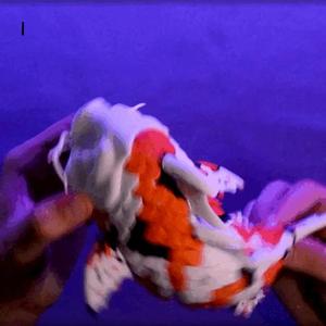 Flexi Koi