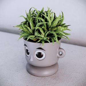 Plantastic Big Eyes Cute Pot 3D Print Stl File | 3D Printers |Home Decor – Digital Download Fun, Succulent, Planter, decor, Happy, Planter