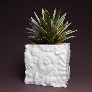 Shellfish plant pot with drainage 3D Printer STL file: instant download, Plant lovers gift