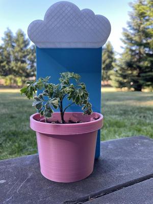 Raincloud Plant Pot