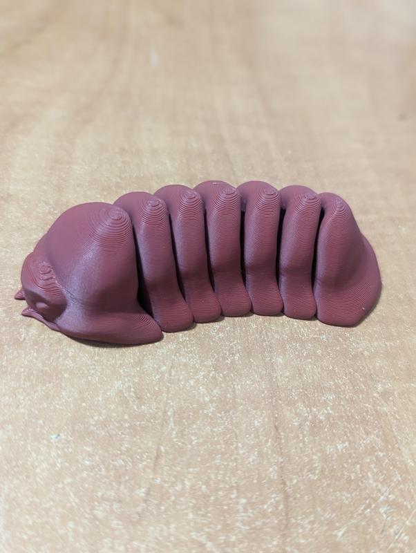 Articulated Isopod