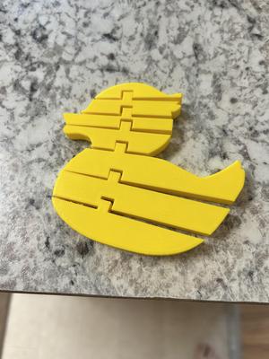Flexi Duck