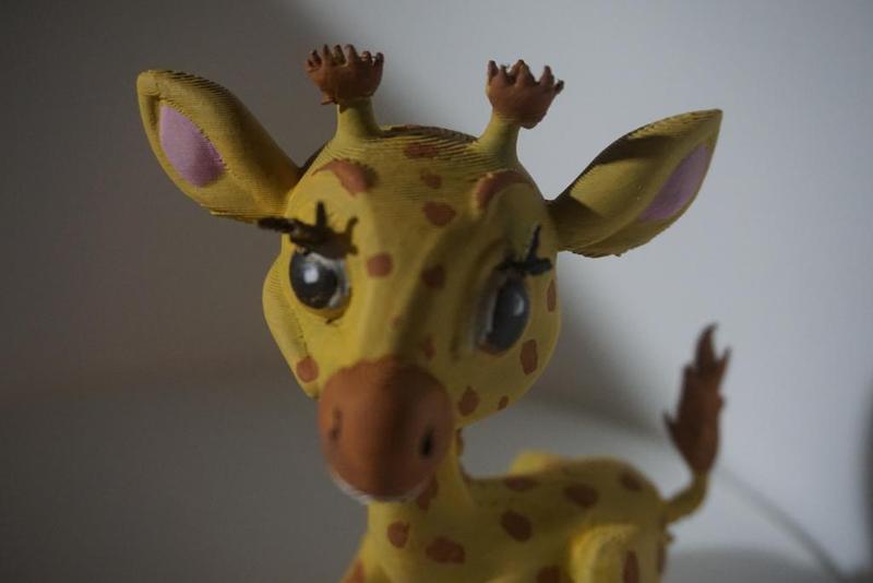 baby giraffe