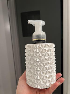 Geodesic Soap Holder