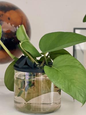Plant Propagation Lid for Bath and Body Works 3 Wick Candle Jar