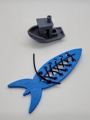 Lacing Trainer Rocket