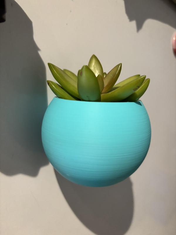Fridge magnetic planter for succelent plants - 2