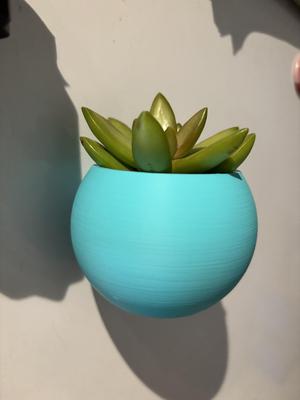 Fridge magnetic planter for succelent plants - 2