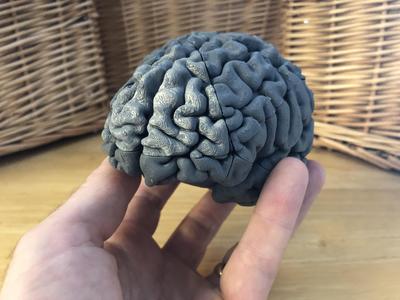 Brain Teaser