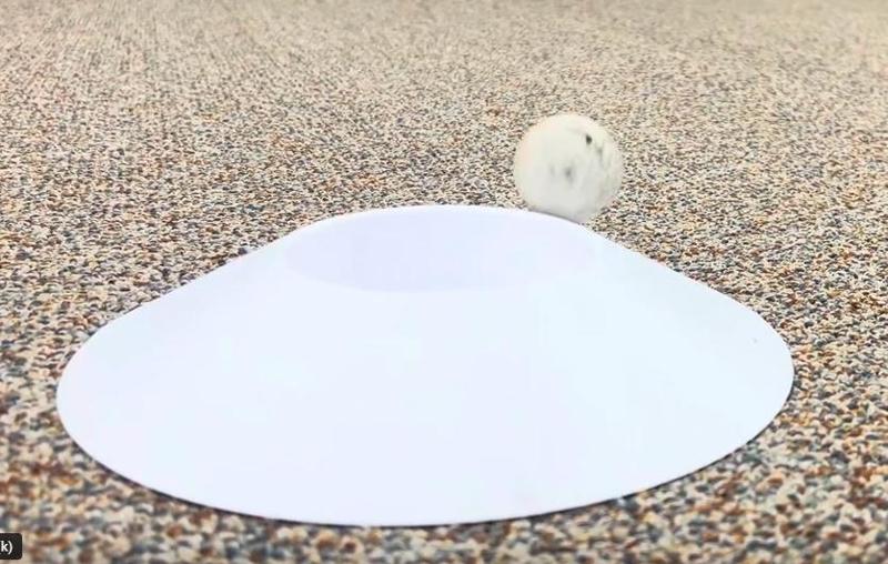 Omni-directional Putt Hole - Free for 48 hours!