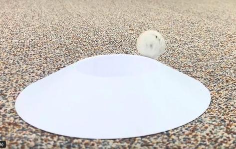 Omni-directional Putt Hole - Free for 48 hours!